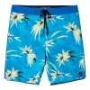 O'Neill Hyperfreak Expression 19" Boardshorts Mens 2 O'Neill Hyperfreak Expression 19" Boardshorts Mens