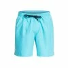 Quiksilver Everyday 17" Volley Shorts