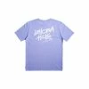 Stranger Things X Quiksilver Lenora S/S T-Shirt Mens