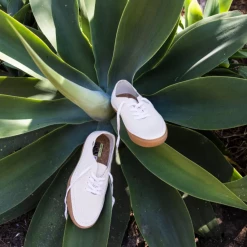 Vans Circle Vee Shoes