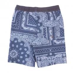 Jack's Surfboards Kids Boy's Dana Volleyshort (8-16)