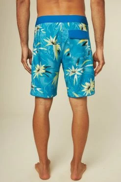 O'Neill Hyperfreak Expression 19