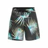 Quiksilver Ocean Mix 17" Volleys Shorts Mens
