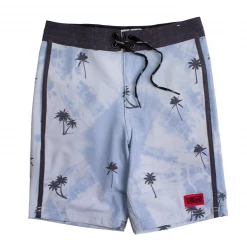 Alton Boy`s (8-16) Palm Day Shorts Kids