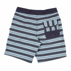Alton Slides Boardshorts Mens