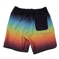 Jack's Surfboards Sprayed Volley Short Mens
