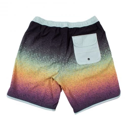 Jack's Surfboards Sprayed Volley Short Mens